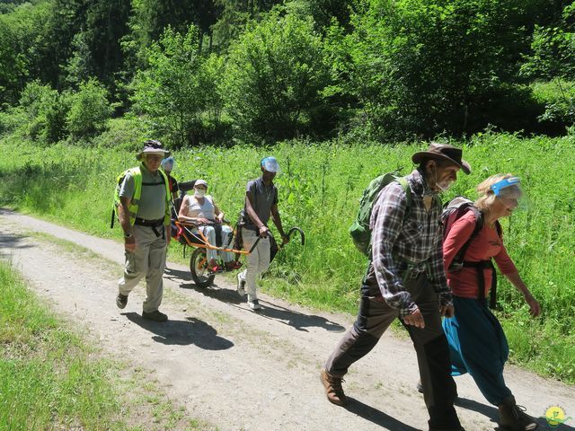 Randonnée joëlettes à Vresse